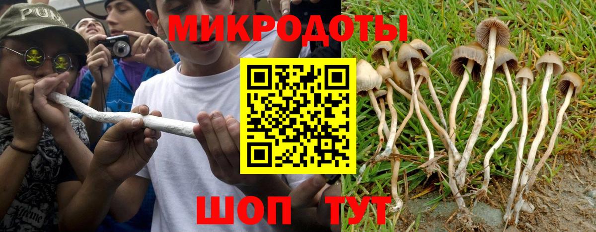 Псилоцибиновые грибы Magic Shrooms  Вход с VPN  Псилоцибиновые грибы мухоморы  Лесной 