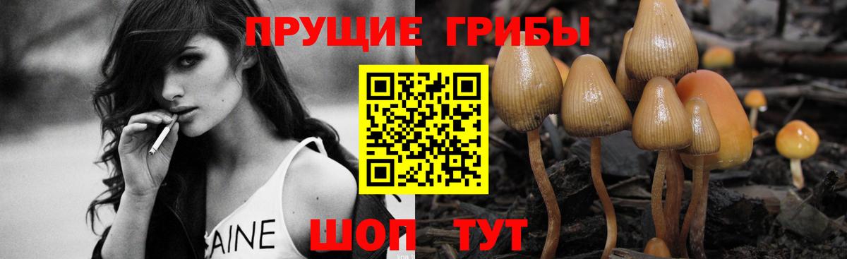 Галлюциногенные грибы GOLDEN TEACHER Лесной